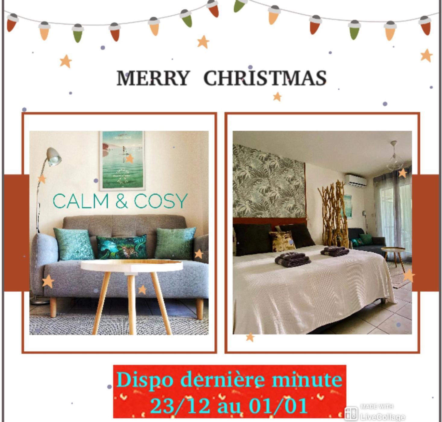 Appartamento Calm&Cosy, magnifique T1 proche CHU Saint Pierre Camera foto